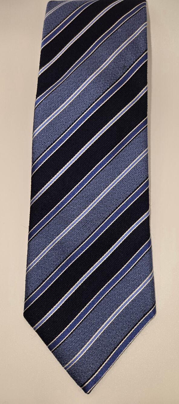 Tasso Elba  Blue Diagonal Stripe Necktie
